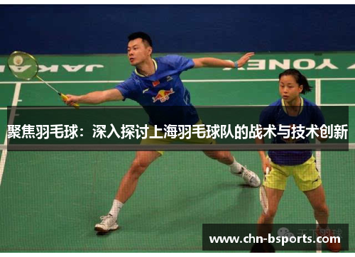 聚焦羽毛球：深入探讨上海羽毛球队的战术与技术创新